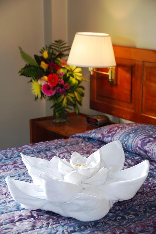 סן חוזה Hotel Del Rey Hotel De Ciudad (Adults Only) חדר תמונה